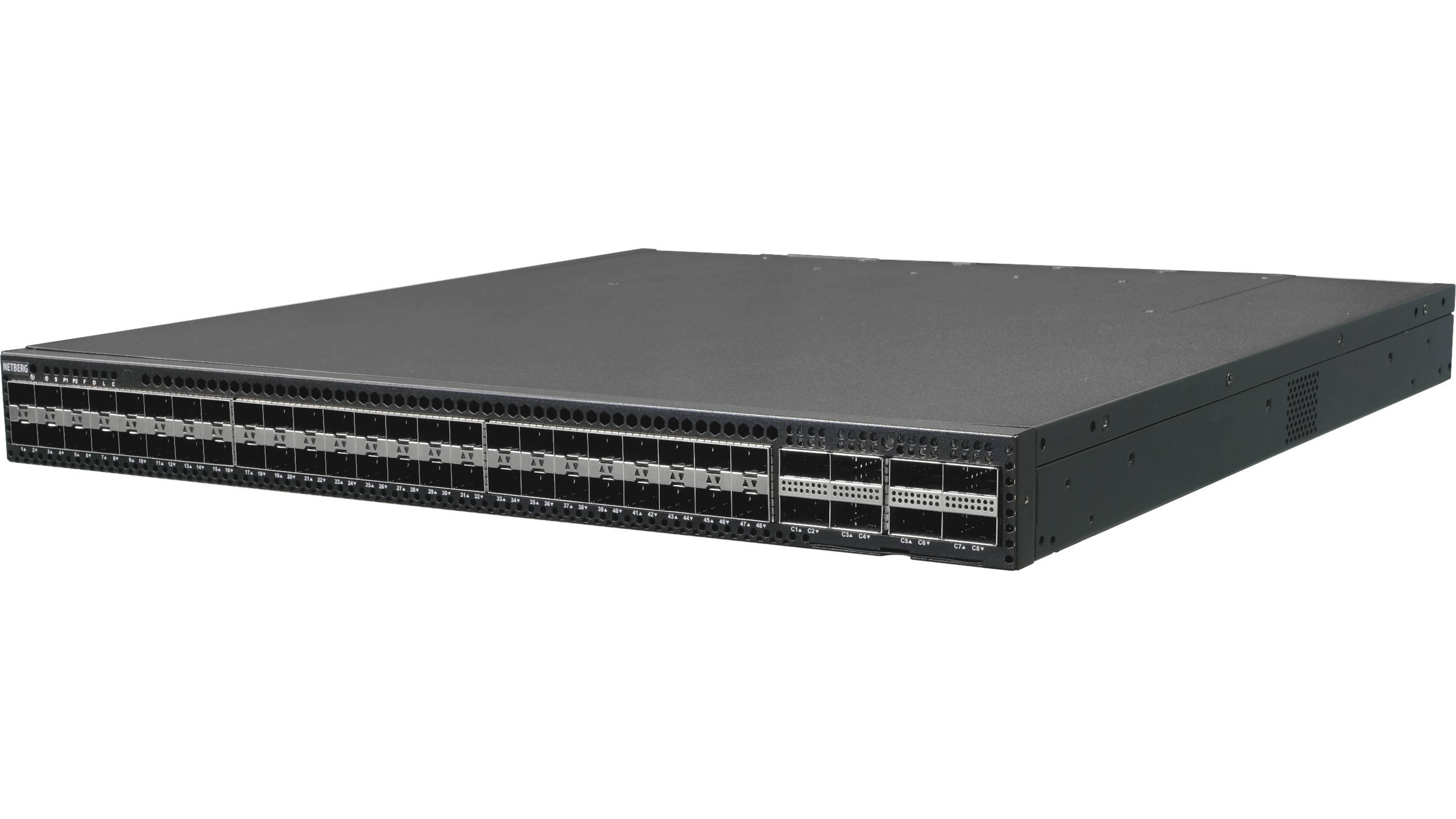 Netberg Aurora 615 48x25G and 8x 100GE, Marvell Teralynx 5 data center switch, front angled view